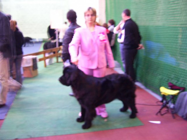 11.11.2007 CACIB VRTOJBA
Sona - CAC