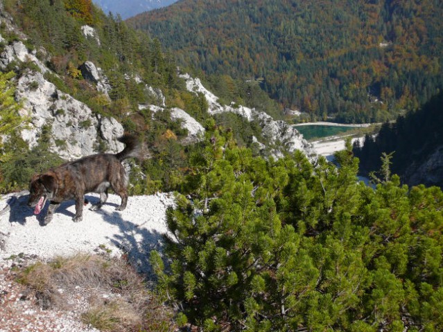 M. Pišnica - foto