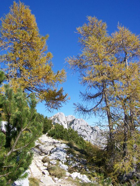 Autumn in Julian Alps