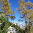 autumn in Julian Alps