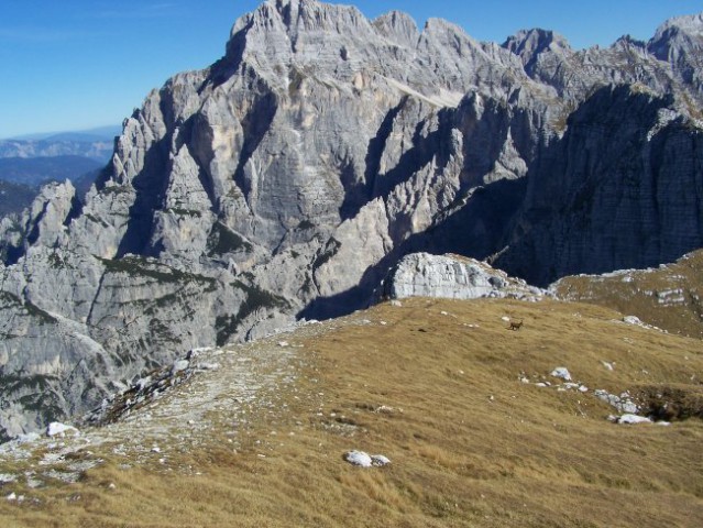 The cathedral of Montasio/ 8500 feet/