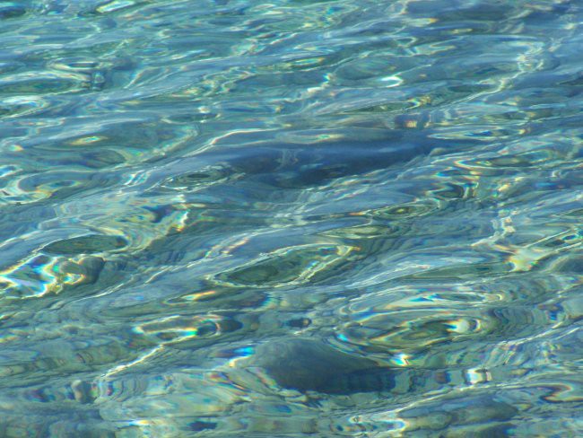 The clear water of Adriatic sea!