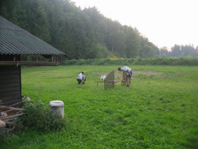 Na treningu - foto