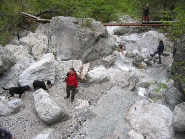 Kranjska gora - foto