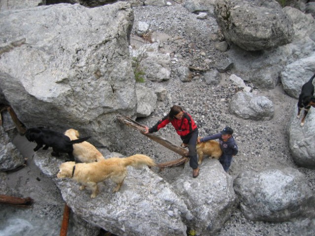 Kranjska gora - foto