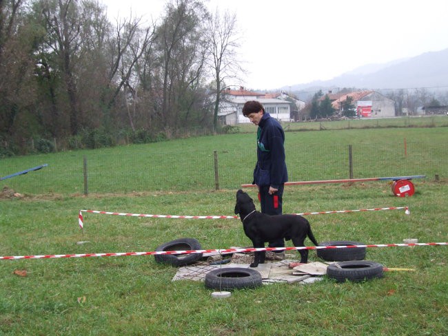 Izpiti Nova gorica - foto povečava