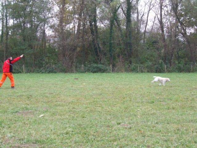 Izpiti Nova gorica - foto