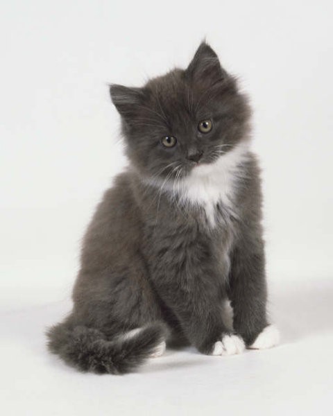 Kontakt: anci1988@gmail.com

Lp:)