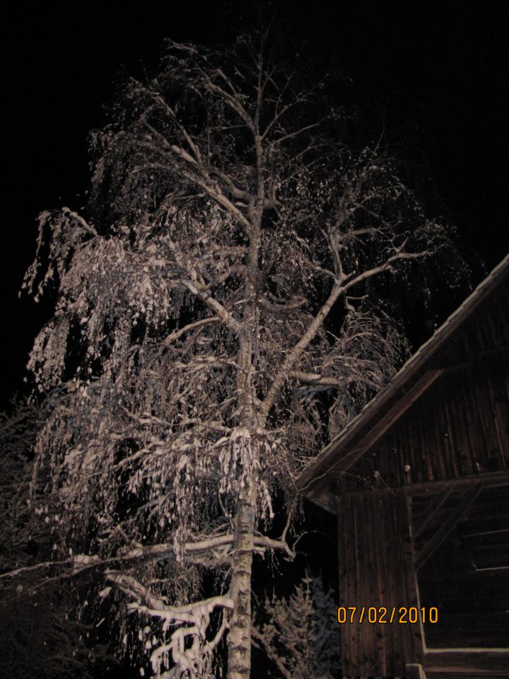 Občni zbor 7.2.10 - foto povečava