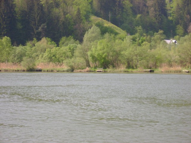 Drava - foto