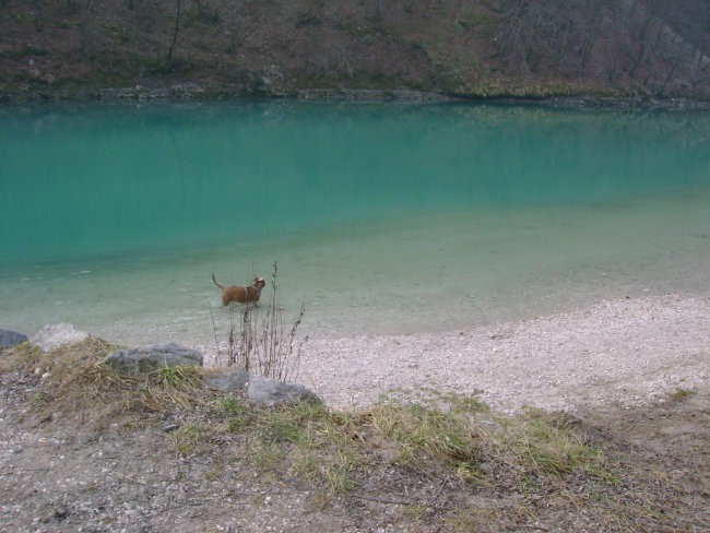 The beatiful socha (river where narnia was ma - foto povečava