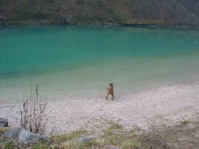 The beatiful socha (river where narnia was ma - foto povečava