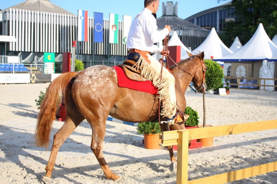 Saeta Equina - foto povečava