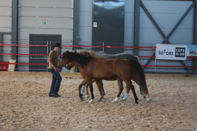 Saeta Equina - foto