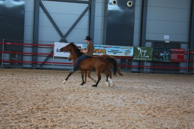 Saeta Equina - foto