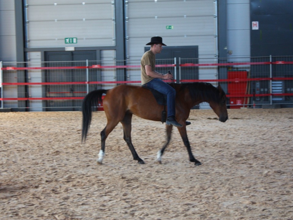 Saeta Equina - foto povečava