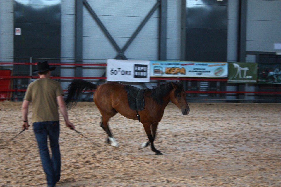 Saeta Equina - foto povečava