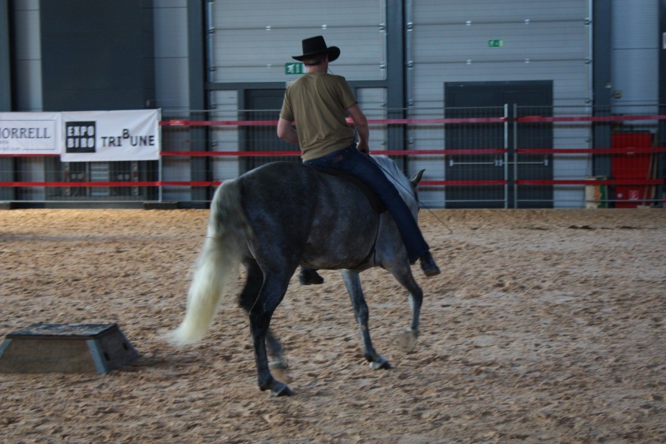 Saeta Equina - foto povečava