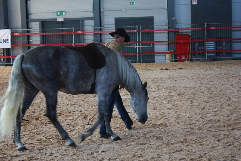 Saeta Equina - foto povečava