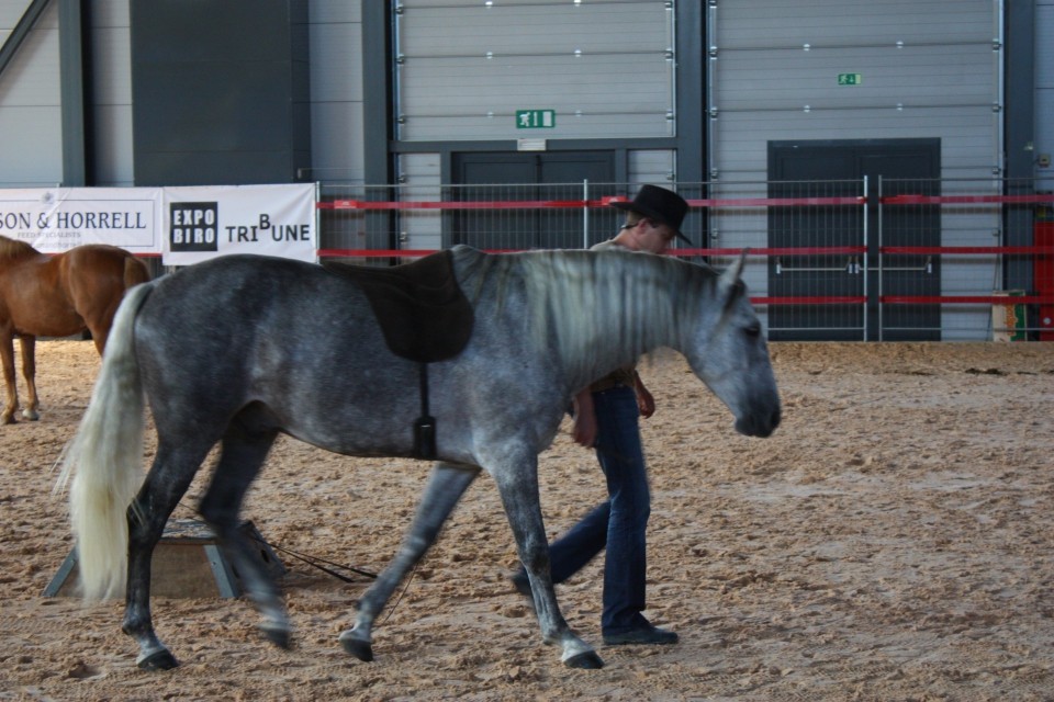 Saeta Equina - foto povečava