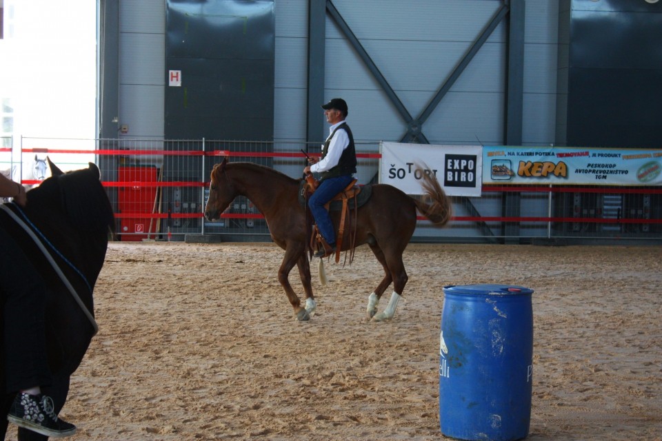 Saeta Equina - foto povečava