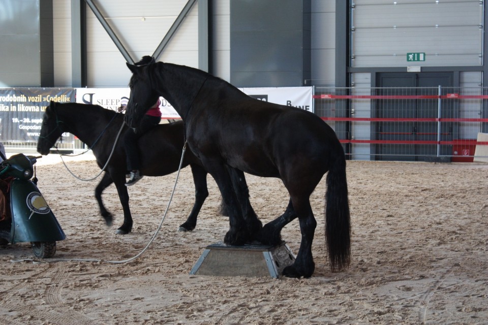 Saeta Equina - foto povečava