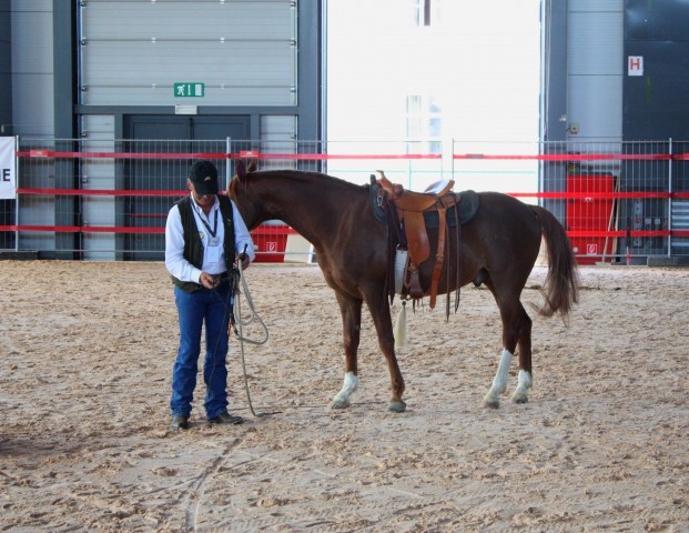 Saeta Equina - foto