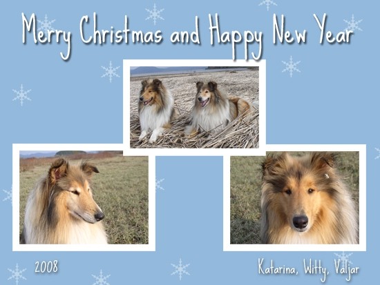 Zima 2007/08 - foto povečava