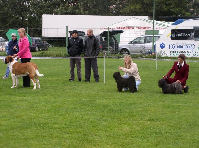 CACIB Lendava 2005 - foto povečava