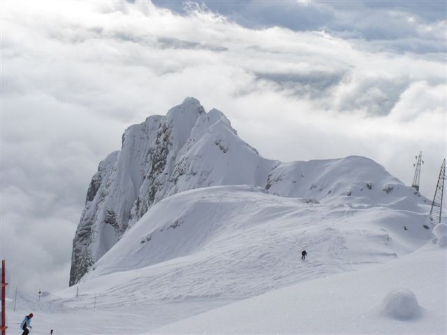 Kanin - foto povečava