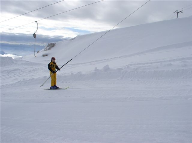 Kanin - foto povečava