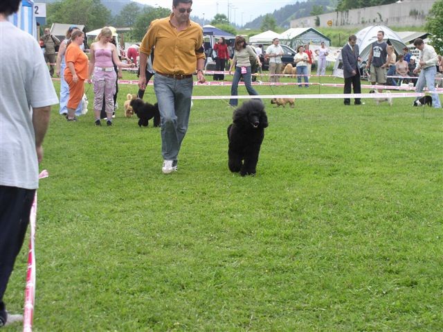 CAC Hrušica 2006 - foto povečava