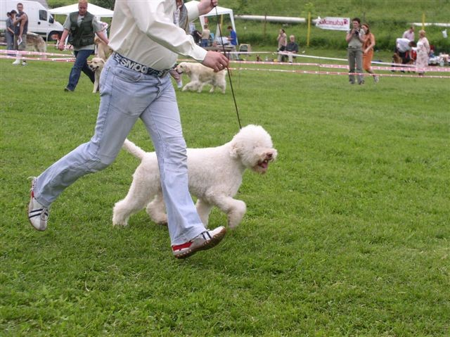 CAC Hrušica 2006 - foto