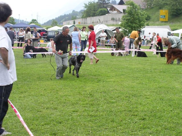 CAC Hrušica 2006 - foto