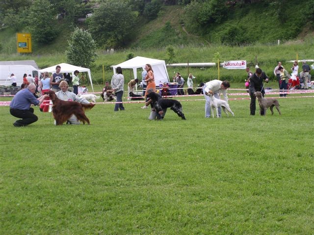 CAC Hrušica 2006 - foto