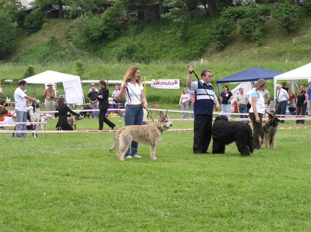 CAC Hrušica 2006 - foto