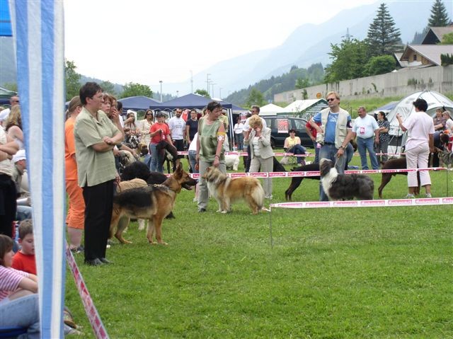 CAC Hrušica 2006 - foto povečava