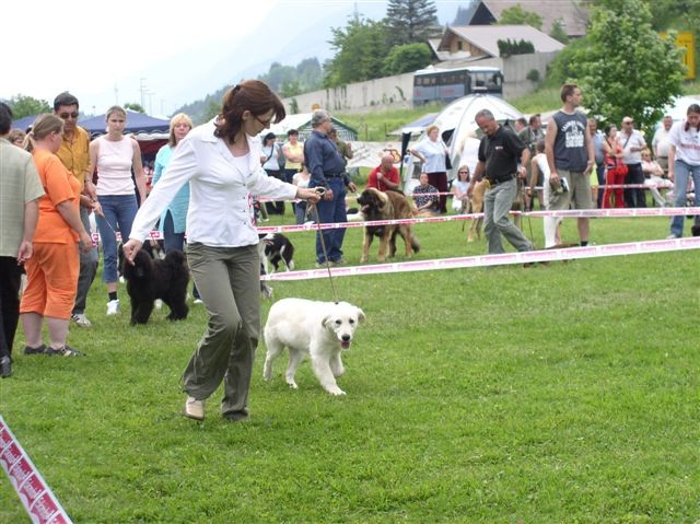 CAC Hrušica 2006 - foto