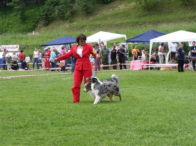 CAC Hrušica 2006 - foto