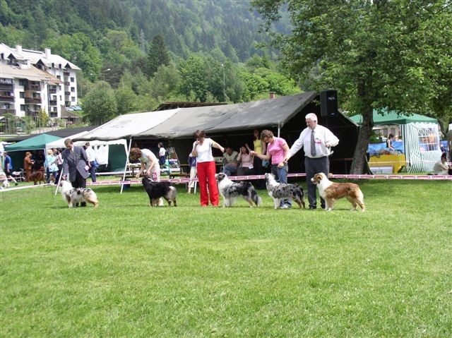 CAC Hrušica 2006 - foto povečava