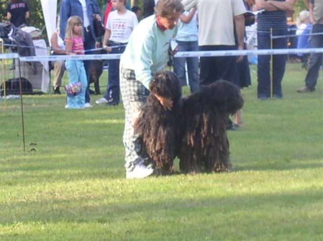 CACIB Maribor 2006 - foto povečava