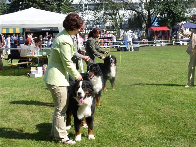 CACIB Maribor 2006 - foto povečava