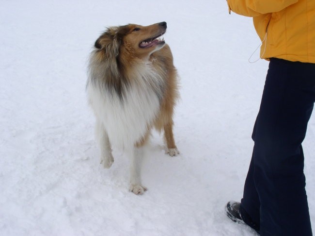 Zima 2006/07 - foto povečava