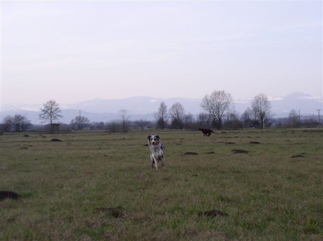 Sprehod z Ginny, Redikom in Darkom - foto