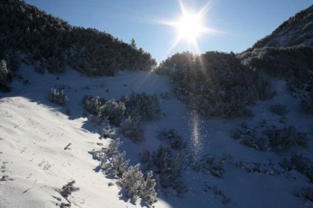 Ledene iglice, Komna