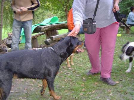 Prebold 24.9.05 - foto povečava