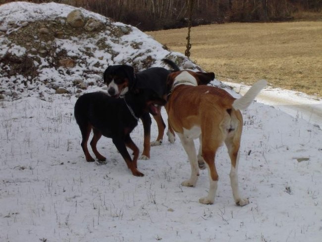 Shiva na obisku pri Bini in Berotu - foto povečava