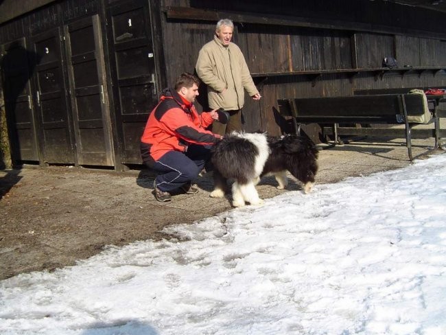 Dog Otočec 4 - foto povečava