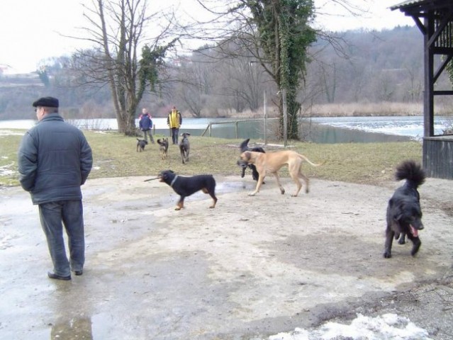 Dog Otocec 6 - foto