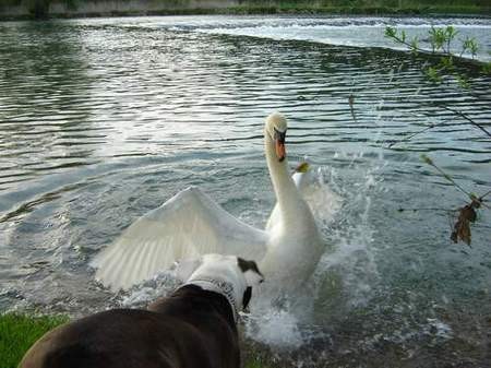 Avatar - foto povečava